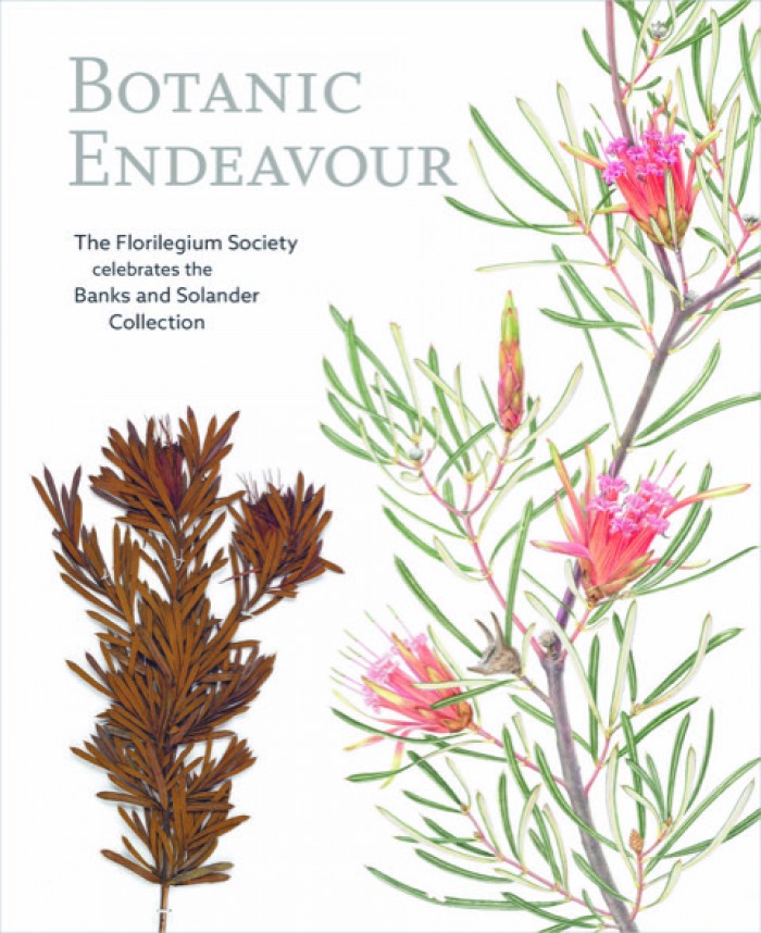 BOTANIC ENDEAVOUR: the Florilegium Society celebrates the Banks and Solander Collection